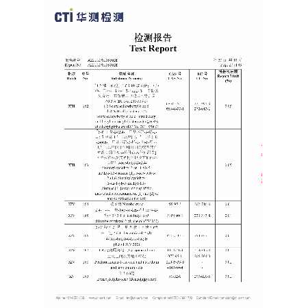 Test Report