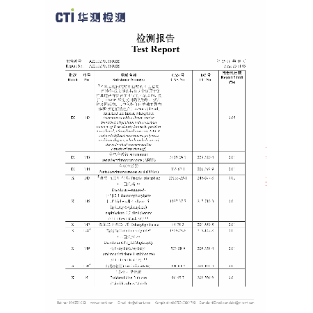 Test Report