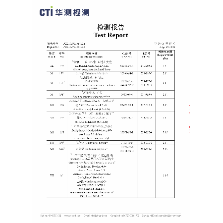 Test Report