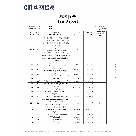 Test Report